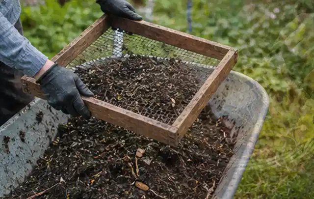 Behandschuhte Hände sieben reifen Kompost über einer Gartenschubkarre; Thema Kürbis, Schwerpunkt Pflanzenschutz; Ergebnis.