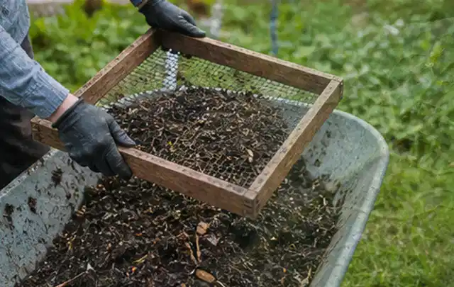 Behandschuhte Hände sieben reifen Kompost über einer Gartenschubkarre; Thema Kürbis, Schwerpunkt Sortenwahl; Ergebnis.