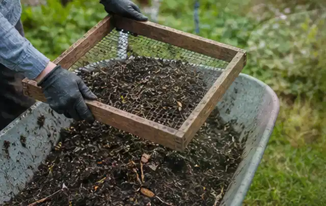 Behandschuhte Hände sieben reifen Kompost über einer Gartenschubkarre; Thema Kürbis, Schwerpunkt Standort; Umsetzung.