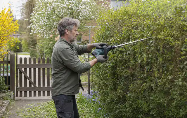 Person schneidet eine Gartenhecke mit einem motorisierten Gartengerät; Thema Laubbläser, Schwerpunkt Anwendung; Umsetzung.