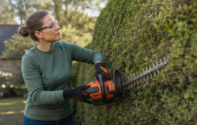 Person schneidet eine dichte Gartenhecke mit Schutzbrille und sicherem Stand; Thema Laubbläser, Schwerpunkt Anwendung; Kontrolle.