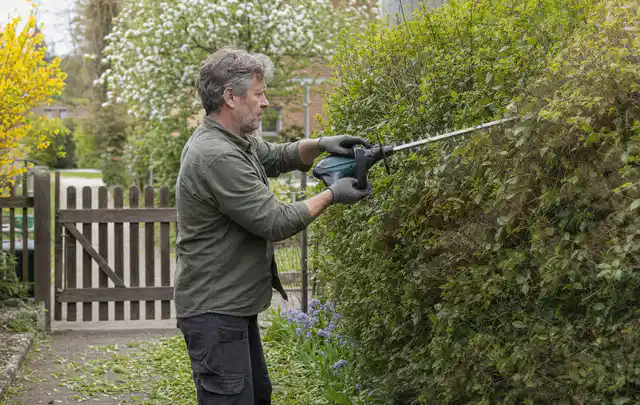 Person schneidet eine Gartenhecke mit einem motorisierten Gartengerät; Thema Laubbläser, Schwerpunkt Bestenliste; Kontrolle.