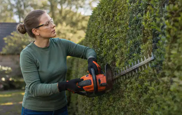 Person schneidet eine dichte Gartenhecke mit Schutzbrille und sicherem Stand; Thema Laubbläser, Schwerpunkt Bestenliste; Ergebnis.