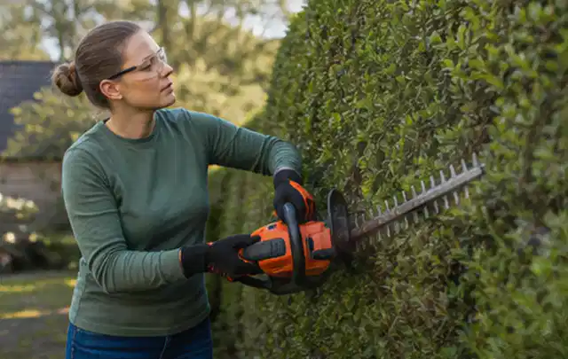 Person schneidet eine dichte Gartenhecke mit Schutzbrille und sicherem Stand; Thema Laubbläser, Schwerpunkt Checkliste; Kontrolle.