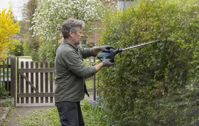 Person schneidet eine Gartenhecke mit einem motorisierten Gartengerät; Thema Laubbläser, Schwerpunkt Checkliste; Praxisalltag.