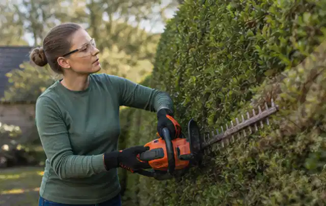 Person schneidet eine dichte Gartenhecke mit Schutzbrille und sicherem Stand; Thema Laubbläser, Schwerpunkt Dimensionierung; Ausgangslage.