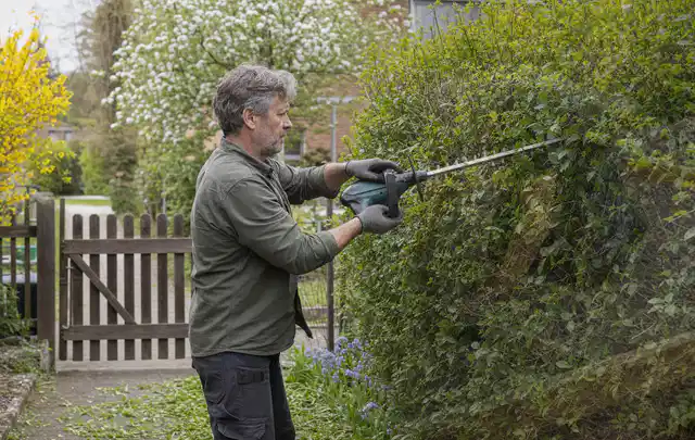 Person schneidet eine Gartenhecke mit einem motorisierten Gartengerät; Thema Laubbläser, Schwerpunkt Dimensionierung; Praxisalltag.
