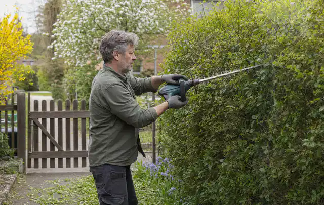 Person schneidet eine Gartenhecke mit einem motorisierten Gartengerät; Thema Laubbläser, Schwerpunkt Ersatzteile; Praxisalltag.