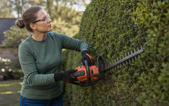 Person schneidet eine dichte Gartenhecke mit Schutzbrille und sicherem Stand; Thema Laubbläser, Schwerpunkt Fehlerhilfe; Praxisalltag.