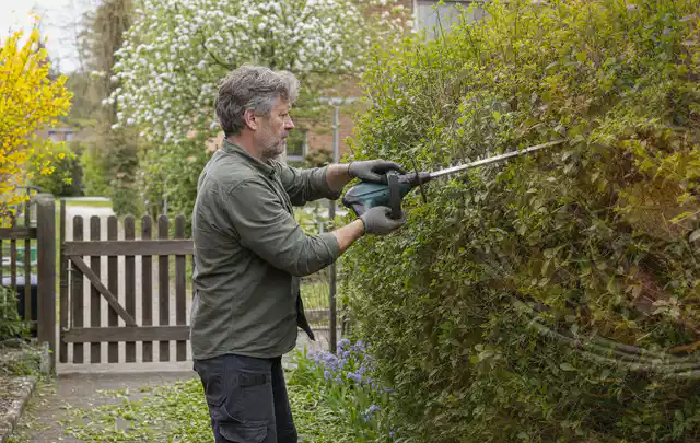 Person schneidet eine Gartenhecke mit einem motorisierten Gartengerät; Thema Laubbläser, Schwerpunkt Gärten mit großer Fläche; Ergebnis.
