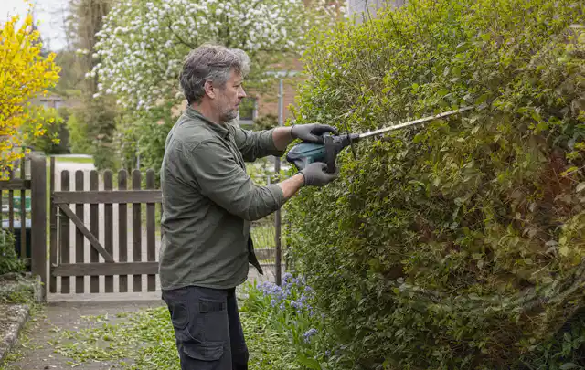 Person schneidet eine Gartenhecke mit einem motorisierten Gartengerät; Thema Laubbläser, Schwerpunkt Gärten mit kleiner Fläche; Ausgangslage.