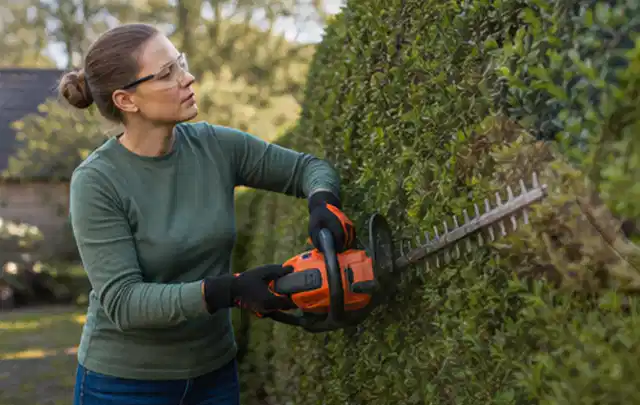 Person schneidet eine dichte Gartenhecke mit Schutzbrille und sicherem Stand; Thema Laubbläser, Schwerpunkt Gärten mit kleiner Fläche; Umsetzung.