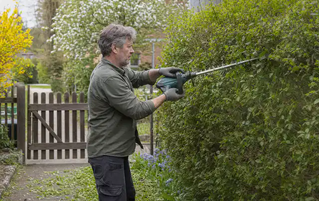 Person schneidet eine Gartenhecke mit einem motorisierten Gartengerät; Thema Laubbläser, Schwerpunkt Gartengeräte; Ergebnis.