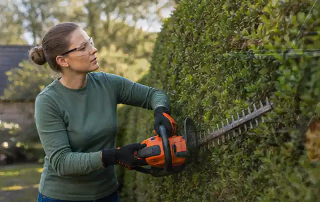Person schneidet eine dichte Gartenhecke mit Schutzbrille und sicherem Stand; Thema Laubbläser, Schwerpunkt Kaufberatung; Ausgangslage.