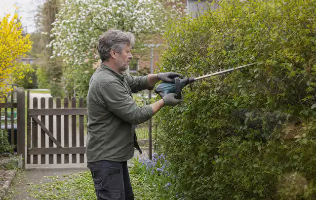 Person schneidet eine Gartenhecke mit einem motorisierten Gartengerät; Thema Laubbläser, Schwerpunkt Kaufberatung; Ergebnis.