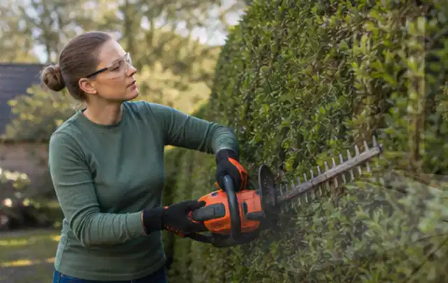 Person schneidet eine dichte Gartenhecke mit Schutzbrille und sicherem Stand; Thema Laubbläser, Schwerpunkt Kosten; Ergebnis.