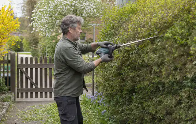 Person schneidet eine Gartenhecke mit einem motorisierten Gartengerät; Thema Laubbläser, Schwerpunkt Kosten; Praxisalltag.