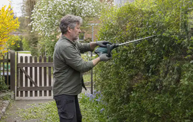 Person schneidet eine Gartenhecke mit einem motorisierten Gartengerät; Thema Laubbläser, Schwerpunkt Leistung; Umsetzung.