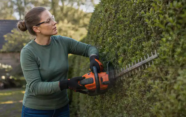 Person schneidet eine dichte Gartenhecke mit Schutzbrille und sicherem Stand; Thema Laubbläser, Schwerpunkt Leistung; Ergebnis.