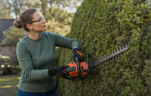 Person schneidet eine dichte Gartenhecke mit Schutzbrille und sicherem Stand; Thema Laubbläser, Schwerpunkt Nachhaltigkeit; Umsetzung.