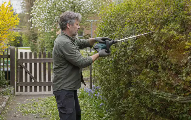 Person schneidet eine Gartenhecke mit einem motorisierten Gartengerät; Thema Laubbläser, Schwerpunkt Nachhaltigkeit; Praxisalltag.