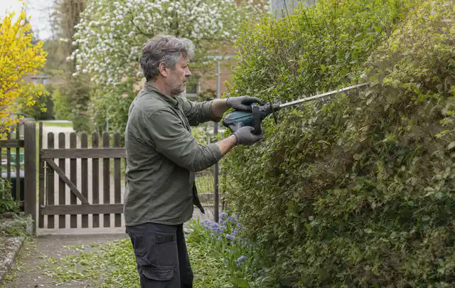 Person schneidet eine Gartenhecke mit einem motorisierten Gartengerät; Thema Laubbläser, Schwerpunkt Reinigung; Umsetzung.