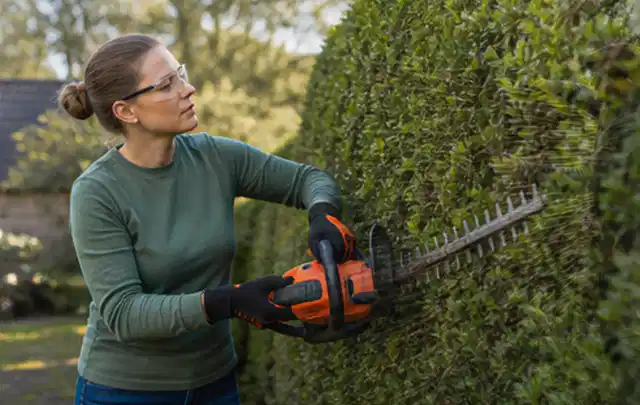 Person schneidet eine dichte Gartenhecke mit Schutzbrille und sicherem Stand; Thema Laubbläser, Schwerpunkt Reinigung; Ergebnis.