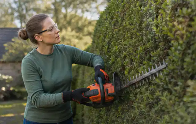 Person schneidet eine dichte Gartenhecke mit Schutzbrille und sicherem Stand; Thema Laubbläser, Schwerpunkt Reparatur; Praxisalltag.