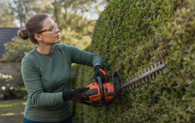 Person schneidet eine dichte Gartenhecke mit Schutzbrille und sicherem Stand; Thema Laubbläser, Schwerpunkt Sicherheit; Praxisalltag.
