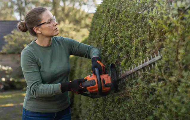 Person schneidet eine dichte Gartenhecke mit Schutzbrille und sicherem Stand; Thema Laubbläser, Schwerpunkt Systemvergleich; Kontrolle.