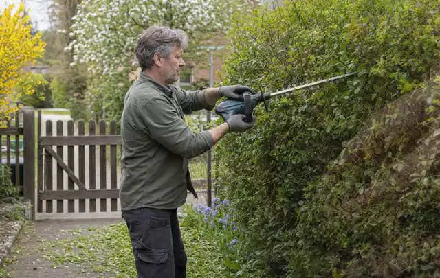 Person schneidet eine Gartenhecke mit einem motorisierten Gartengerät; Thema Laubbläser, Schwerpunkt Systemvergleich; Praxisalltag.