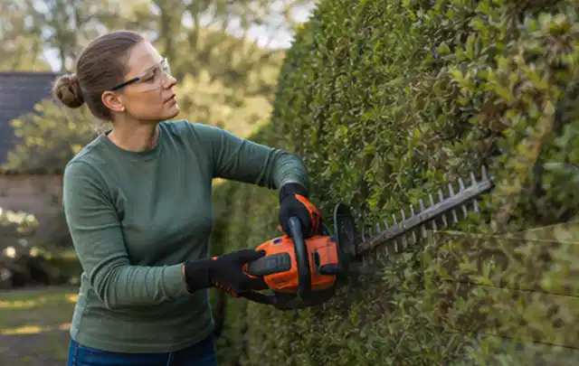 Person schneidet eine dichte Gartenhecke mit Schutzbrille und sicherem Stand; Thema Laubbläser, Schwerpunkt Testkriterien; Kontrolle.