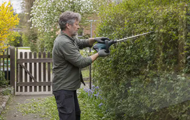 Person schneidet eine Gartenhecke mit einem motorisierten Gartengerät; Thema Laubbläser, Schwerpunkt Testkriterien; Ergebnis.
