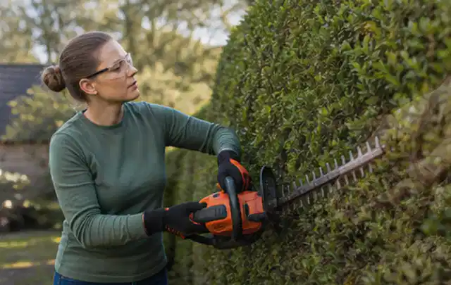 Person schneidet eine dichte Gartenhecke mit Schutzbrille und sicherem Stand; Thema Laubbläser, Schwerpunkt Vergleich; Umsetzung.