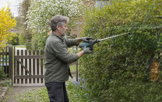 Person schneidet eine Gartenhecke mit einem motorisierten Gartengerät; Thema Laubbläser, Schwerpunkt Wartung; Ergebnis.