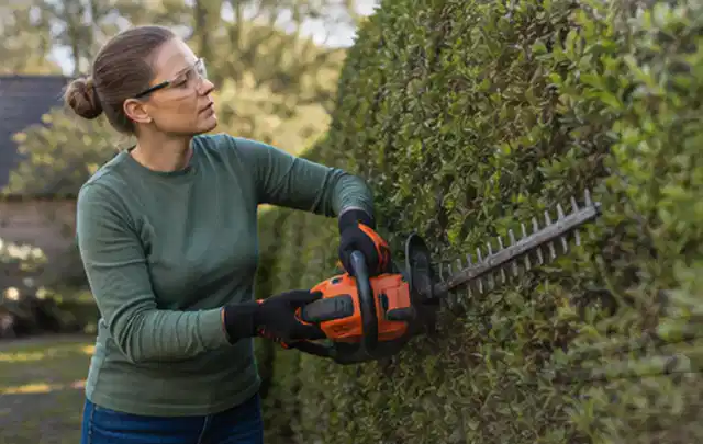 Person schneidet eine dichte Gartenhecke mit Schutzbrille und sicherem Stand; Thema Laubbläser, Schwerpunkt Wartung; Praxisalltag.