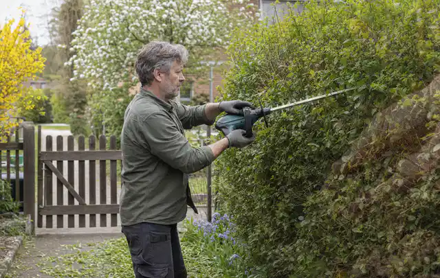 Person schneidet eine Gartenhecke mit einem motorisierten Gartengerät; Thema Laubbläser, Schwerpunkt Winterlager; Ergebnis.