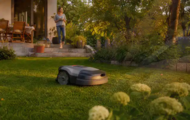 Mähroboter fährt am Abend über einen Rasen im Familiengarten; Thema Mähroboter Akkus, Schwerpunkt Bestenliste; Ausgangslage.