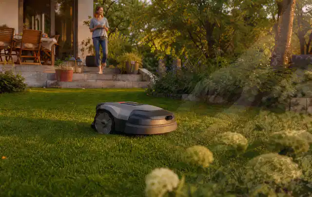 Mähroboter fährt am Abend über einen Rasen im Familiengarten; Thema Mähroboter Akkus, Schwerpunkt Kosten; Praxisalltag.