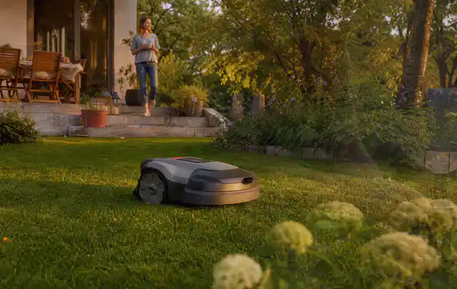 Mähroboter fährt am Abend über einen Rasen im Familiengarten; Thema Mähroboter Akkus, Schwerpunkt Leistung; Ausgangslage.