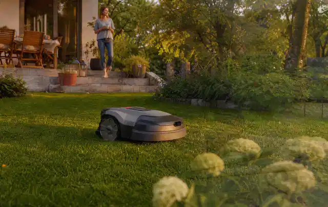 Mähroboter fährt am Abend über einen Rasen im Familiengarten; Thema Mähroboter Akkus; Umsetzung.