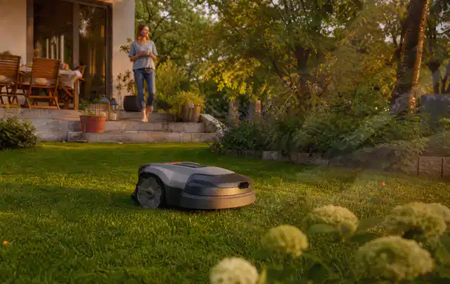 Mähroboter fährt am Abend über einen Rasen im Familiengarten; Thema Mähroboter Akkus, Schwerpunkt Systemvergleich; Ausgangslage.