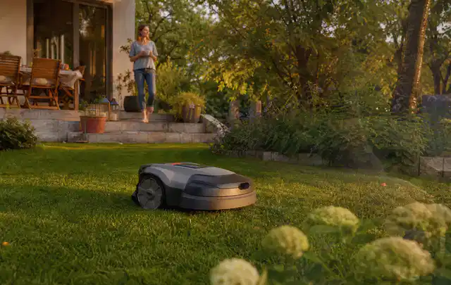 Mähroboter fährt am Abend über einen Rasen im Familiengarten; Thema Mähroboter Akkus, Schwerpunkt Vergleich; Ausgangslage.