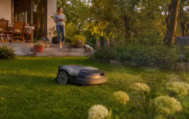 Mähroboter fährt am Abend über einen Rasen im Familiengarten; Thema Mähroboter Akkus, Schwerpunkt Wartung; Ergebnis.