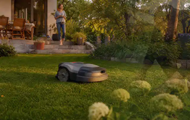 Mähroboter fährt am Abend über einen Rasen im Familiengarten; Thema Mähroboter Akkus, Schwerpunkt Winterlager; Ergebnis.