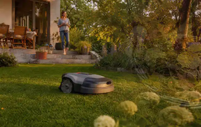 Mähroboter fährt am Abend über einen Rasen im Familiengarten; Thema Mähroboter für große Gärten, Schwerpunkt Anwendung; Praxisalltag.