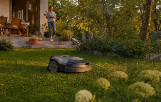 Mähroboter fährt am Abend über einen Rasen im Familiengarten; Thema Mähroboter für große Gärten, Schwerpunkt Dimensionierung; Umsetzung.