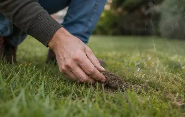 Hand hebt eine kleine Bodenprobe aus einer grünen Rasenfläche; Thema Mähroboter für große Gärten, Schwerpunkt Ersatzteile; Ergebnis.