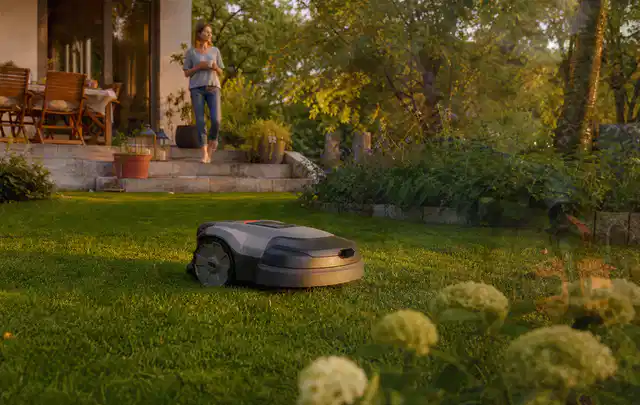 Mähroboter fährt am Abend über einen Rasen im Familiengarten; Thema Mähroboter für große Gärten, Schwerpunkt Fehlerhilfe; Praxisalltag.