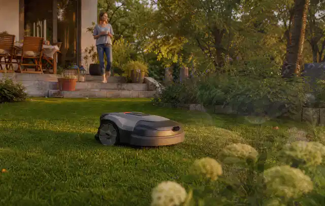 Mähroboter fährt am Abend über einen Rasen im Familiengarten; Thema Mähroboter für große Gärten, Schwerpunkt Kaufberatung; Kontrolle.